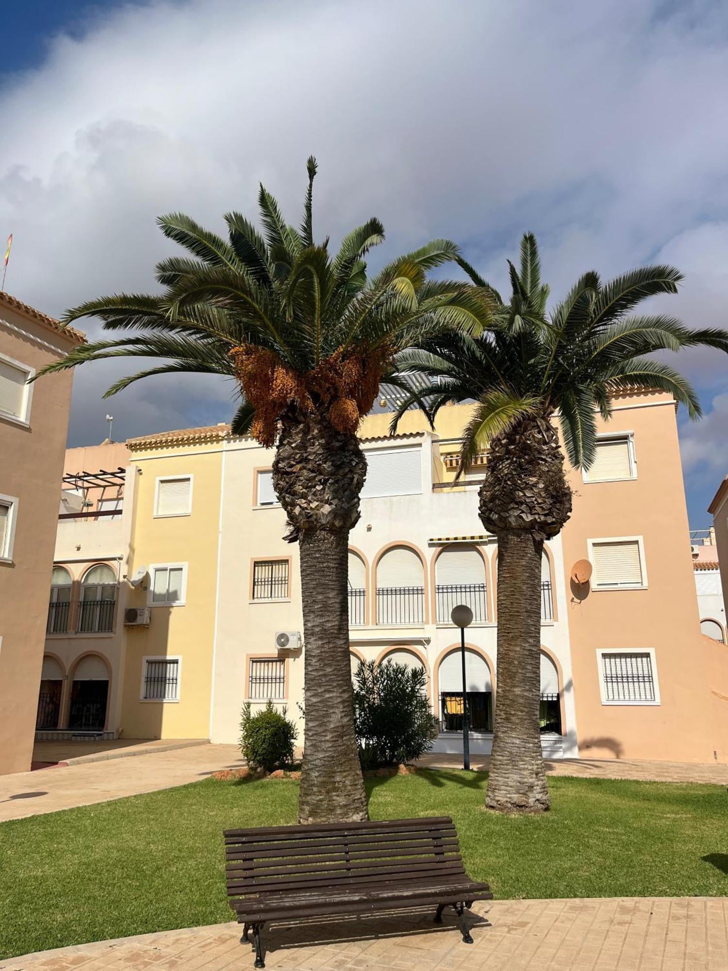 Torrevieja 2 Bedrooms Appartment Kültér fotó