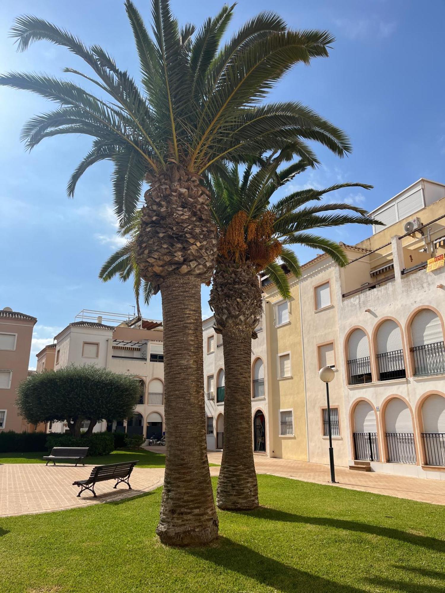 Torrevieja 2 Bedrooms Appartment Kültér fotó