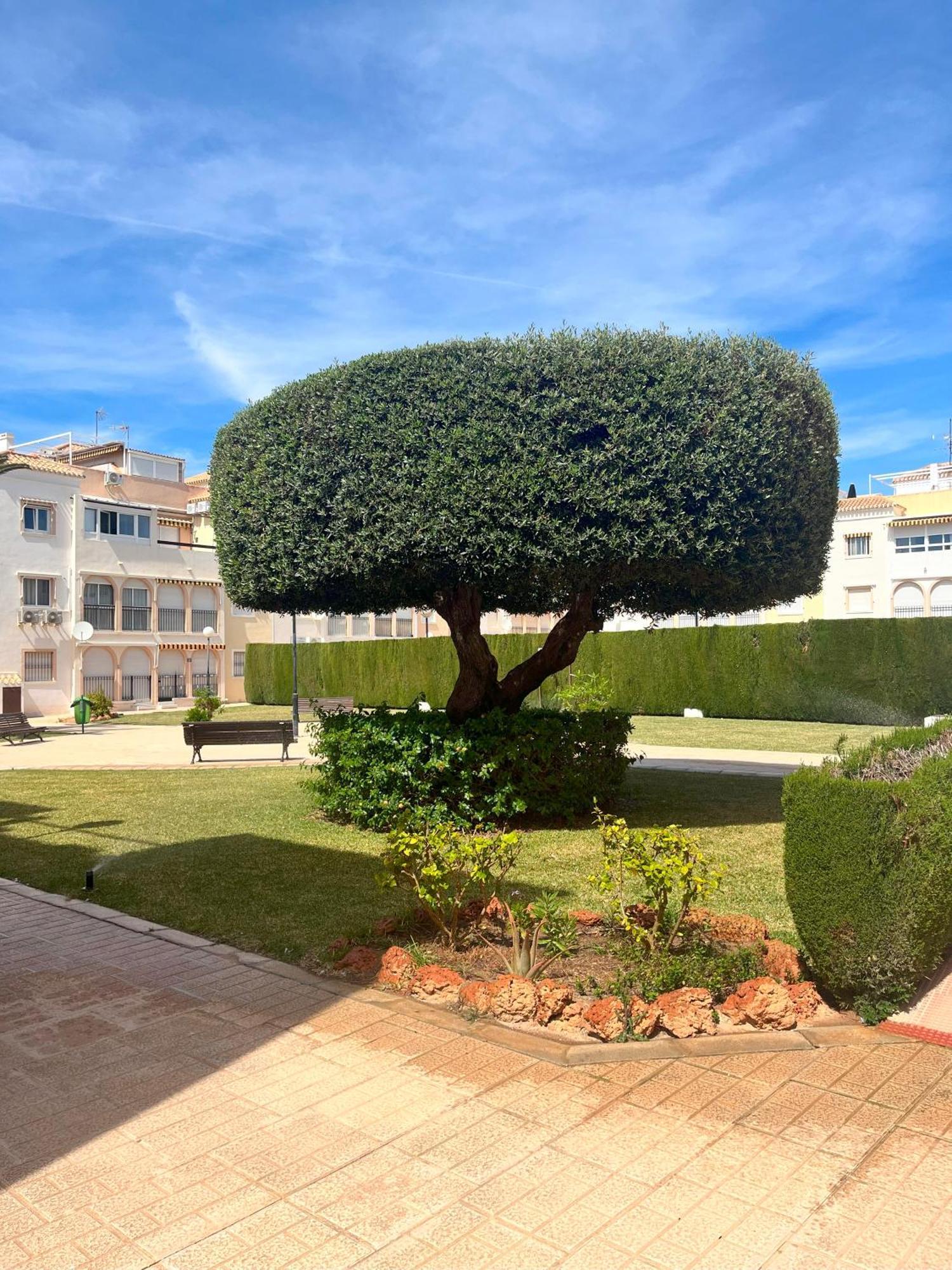 Torrevieja 2 Bedrooms Appartment Kültér fotó